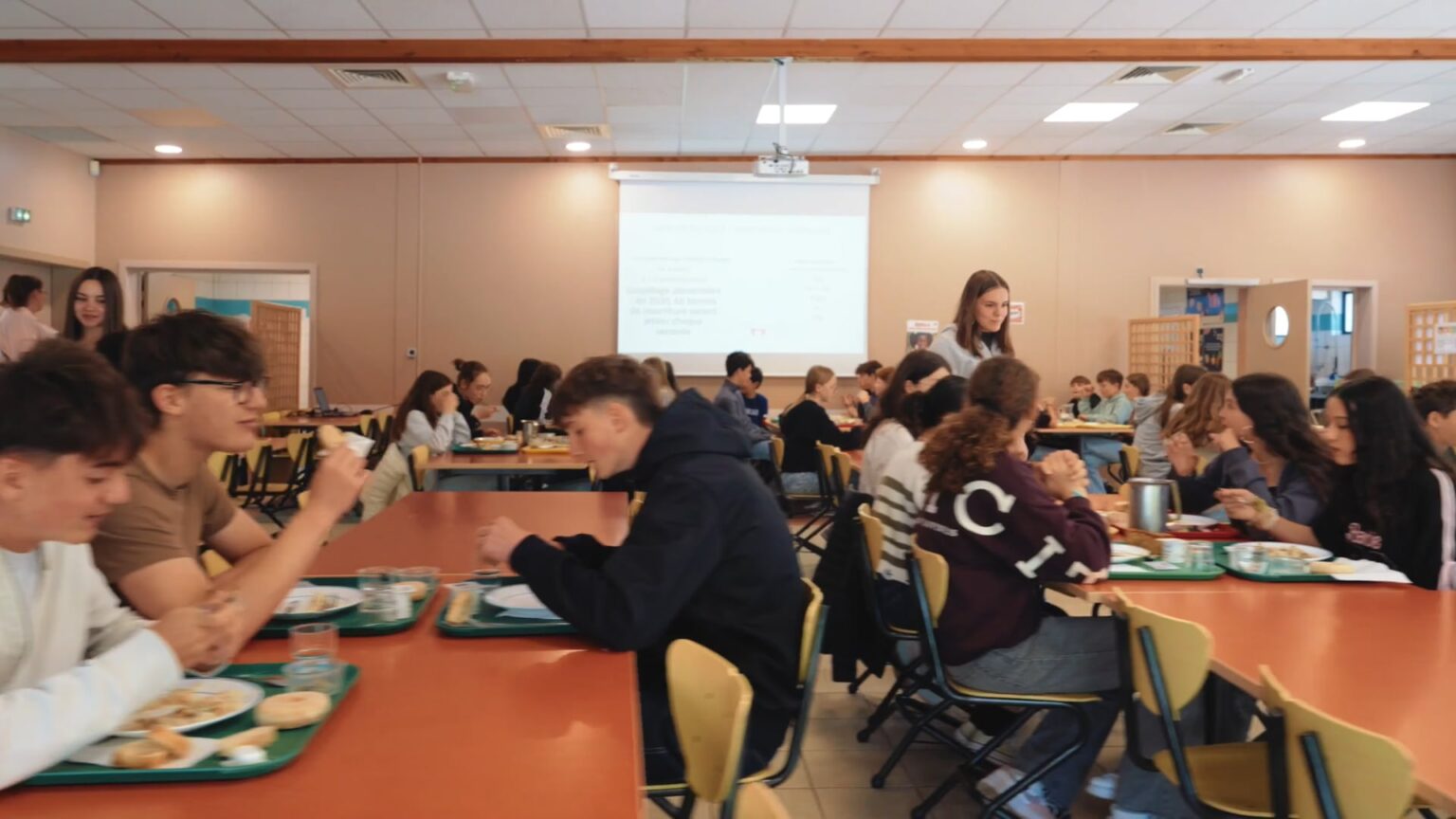 Collège - La providence Vendenheim